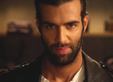 Barbe n&eacute;glig&eacute;e